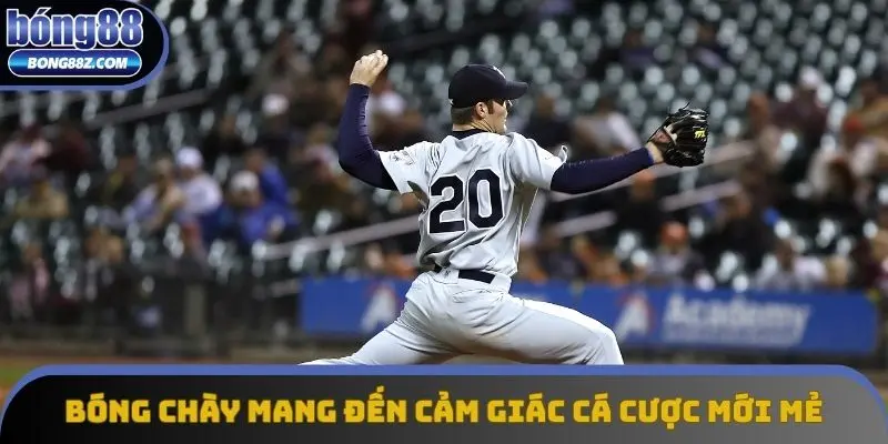 Bóng chày mang đến cảm giác cá cược mới mẻ Bóng chày mang đến cảm giác cá cược mới mẻ